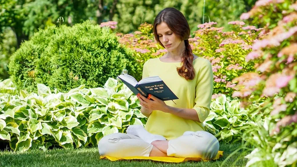 Video: Introducción a Falun Dafa
